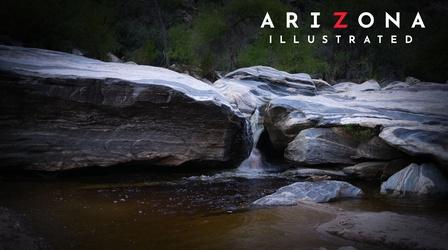 Video thumbnail: Arizona Illustrated Rainwater harvesting