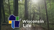 Wisconsin Rocks!