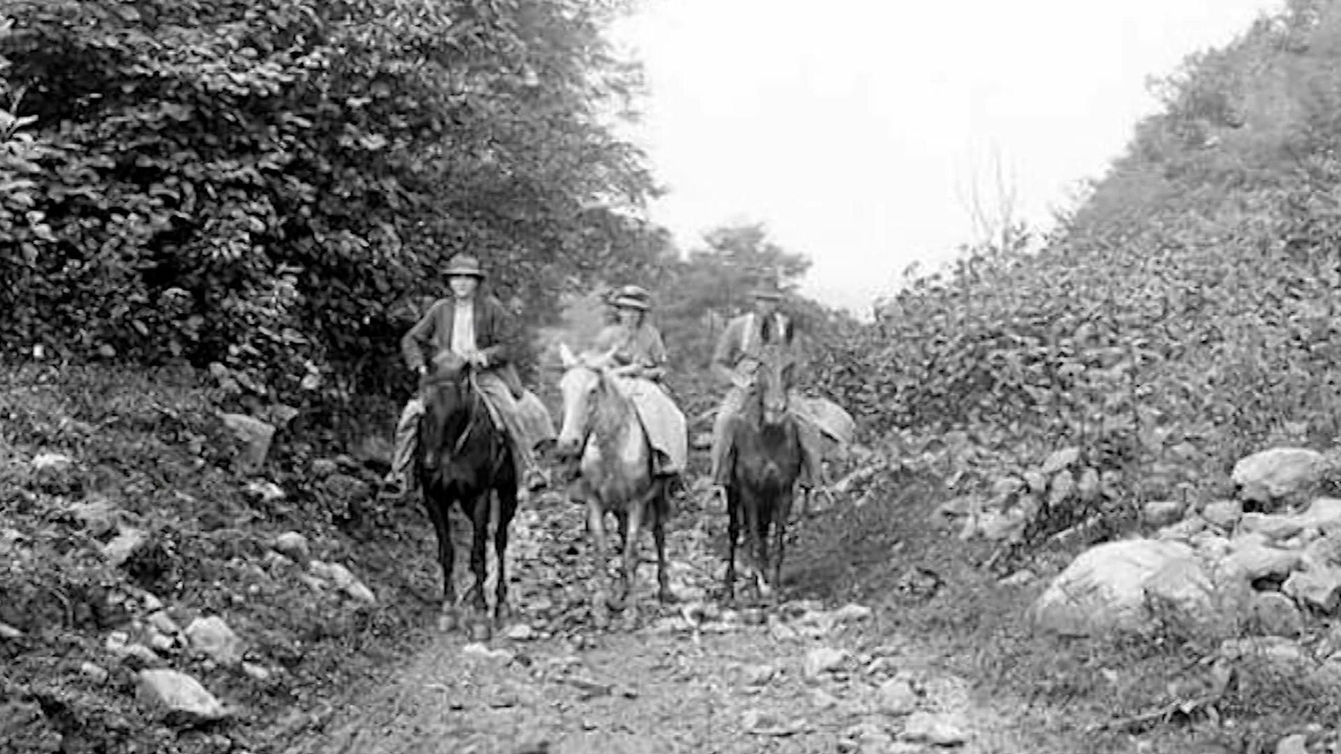 History of Kentucky's South-Central Region