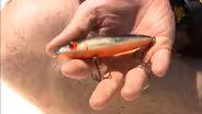 Gear time: Lures and tackles