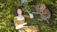 The Animals of Poldark
