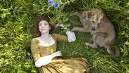 The Animals of Poldark