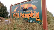 The Wild Pumpkin