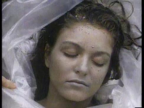 Inside Twin Peaks