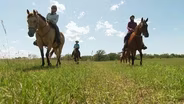 Whiterock Conservancy