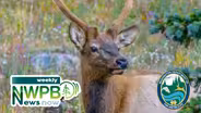 Wildlife Feeding Ban in Washington: Dept. of Fish and Wildlife Community Spotlight