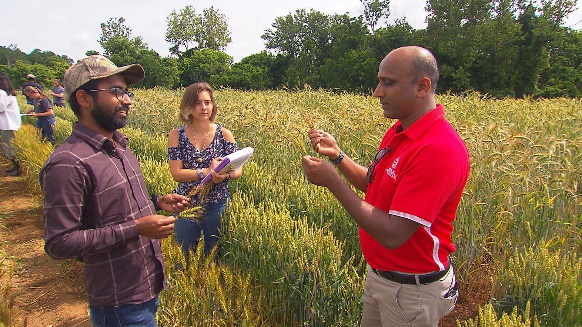 Owners of Field of Dreams farm bet big on baseball with new development