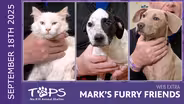 9/18/2025 | Eugene, Jellybean and Tina | Mark's Furry Friends Extra