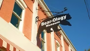 Bear-Ology Museum