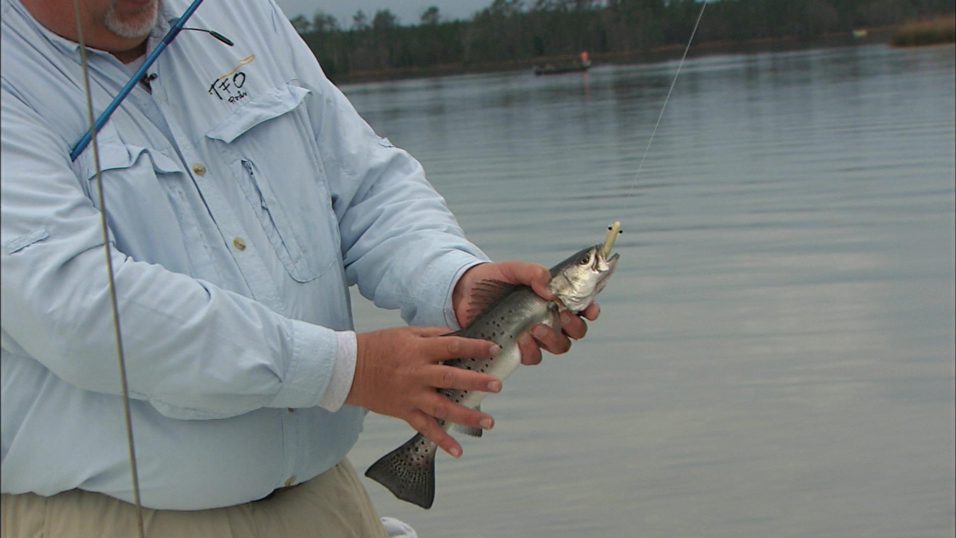 Carolina Outdoor Journal Popping Cork Specks Season