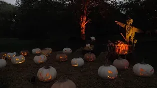 October 31, 2024