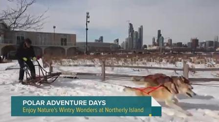 Video thumbnail: Chicago Tonight: Latino Voices Polar Adventure Days Deliver Winter Fun at Northerly Island