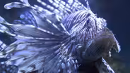 The NC Aquarium at Fort Fisher + Rootle = Fun!