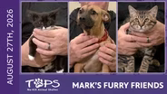 8/27/2026 | Avocado Toast, Bubble Guppy and Rhaneyra | Mark's Furry Friends