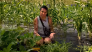 Vegetable Garden Pollination
