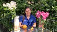 Pollinators