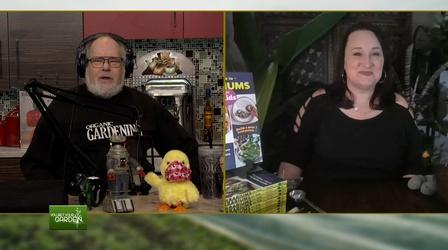 Video thumbnail: You Bet Your Garden You Bet Your Garden Ep. 104