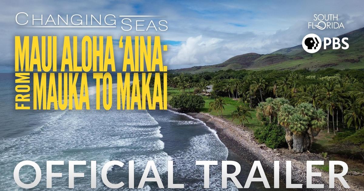 Changing Seas | Maui Aloha ʻĀina: From Mauka to Makai | Changing Seas ...