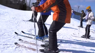 ski lessons