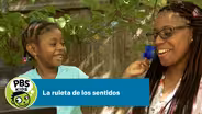 La ruleta de los sentidos
