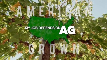 Video thumbnail: American Grown: My Job Depends on Ag The Madera Wine Trail Trailer