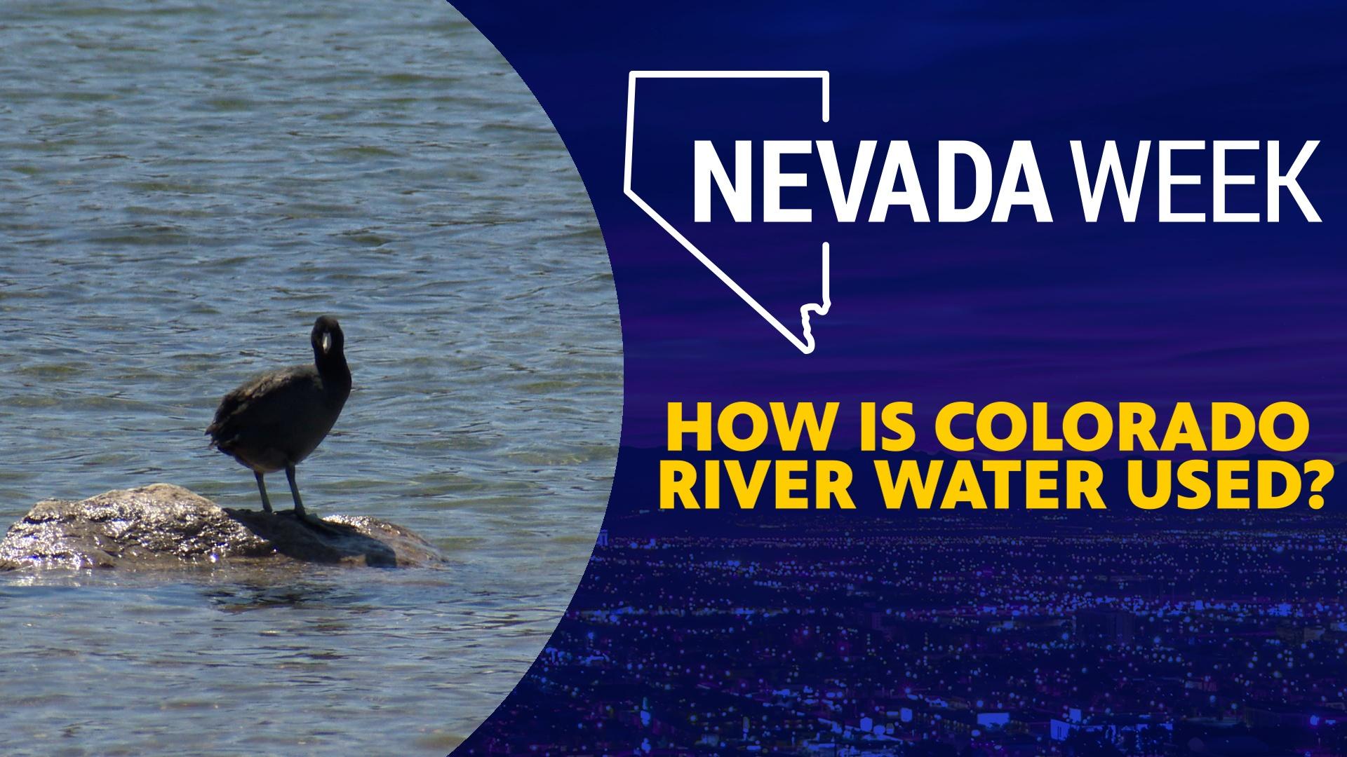 How is Colorado River Water used?
