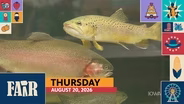 Fair 2026 – Thursday, August 20