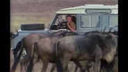 TRAILER | LEAG | Life on Earth | Attenborough's Greatest Adventures