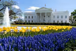 Washington Week Extra for May 1, 2020
