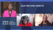 Congress Considers Gun Control After Recent Mass Shootings