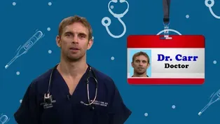 Doctors and the Collaborative Efforts of Healthcare