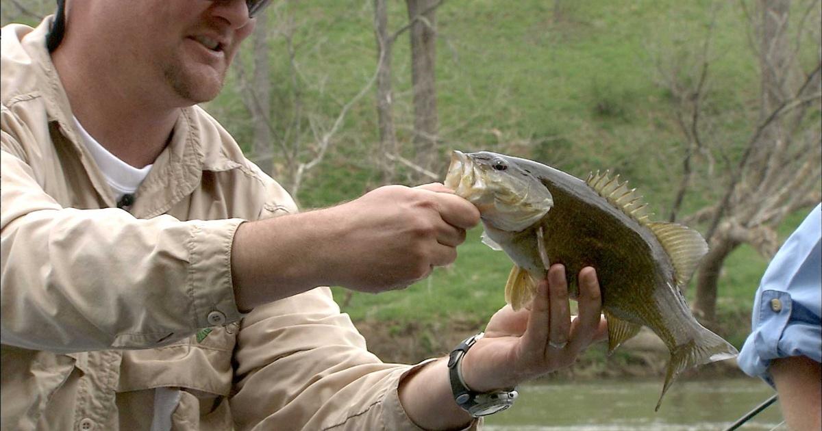 Carolina Outdoor Journal, New River Smallmouth Bass, Season 6, Episode 2