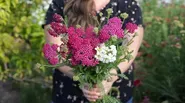 How to Grow Cut Flowers with Sego Lily Flower Farm
