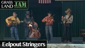 Video thumbnail: Grassland Jam The Eelpout Stringers