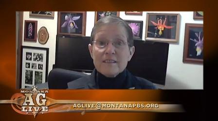 Video thumbnail: Montana Ag Live Legacy Planning Can Reduce Your Montana Taxes (5304)