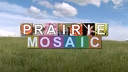 Prairie Mosaic 505