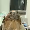 Cisco gets a check-up