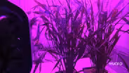Growing Plants in Space with the APH