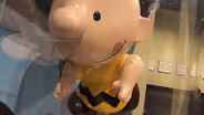 PIGSKIN PEANUTS