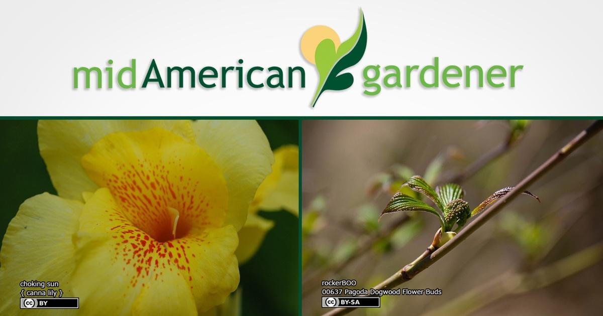 Mid-american gardener | june 29, 2017: mid-american gardener with dianne noland | season 6 | episode 644
