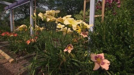 Video thumbnail: Volunteer Gardener Volunteer Gardener 2614