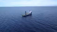 The potential impacts of mining the ocean floor