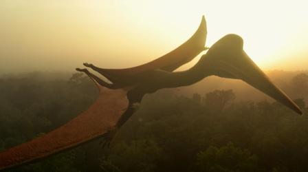 Video thumbnail: NOVA Inside a Fossilized Pterosaur Egg