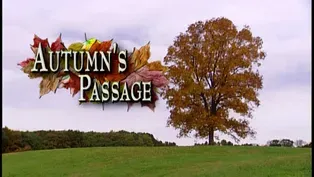 Autumn's Passage