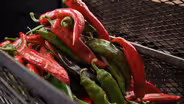 Chiles in New Mexico