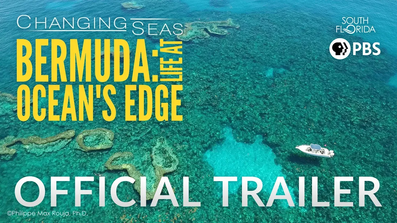 Bermuda: Life at Ocean's Edge | Changing Seas | Preview