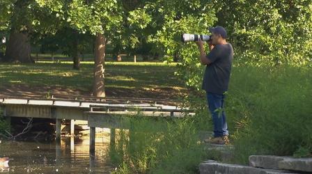 Video thumbnail: Chicago Tonight: Latino Voices Latino Birder Encourages Others to Enjoy Local Nature