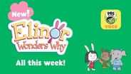 Catch All New Episodes of Elinor Wonders Why ALL THIS WEEK!