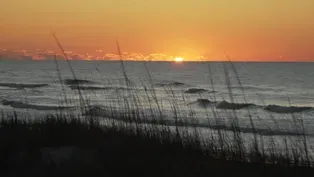 The Beach in Winter