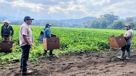 Episode 2: asset-mezzanine-16x9